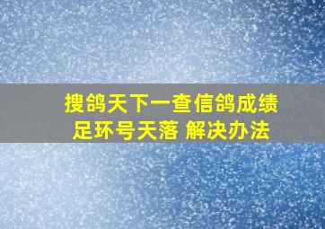 搜鸽天下一查信鸽成绩足环号天落 解决办法